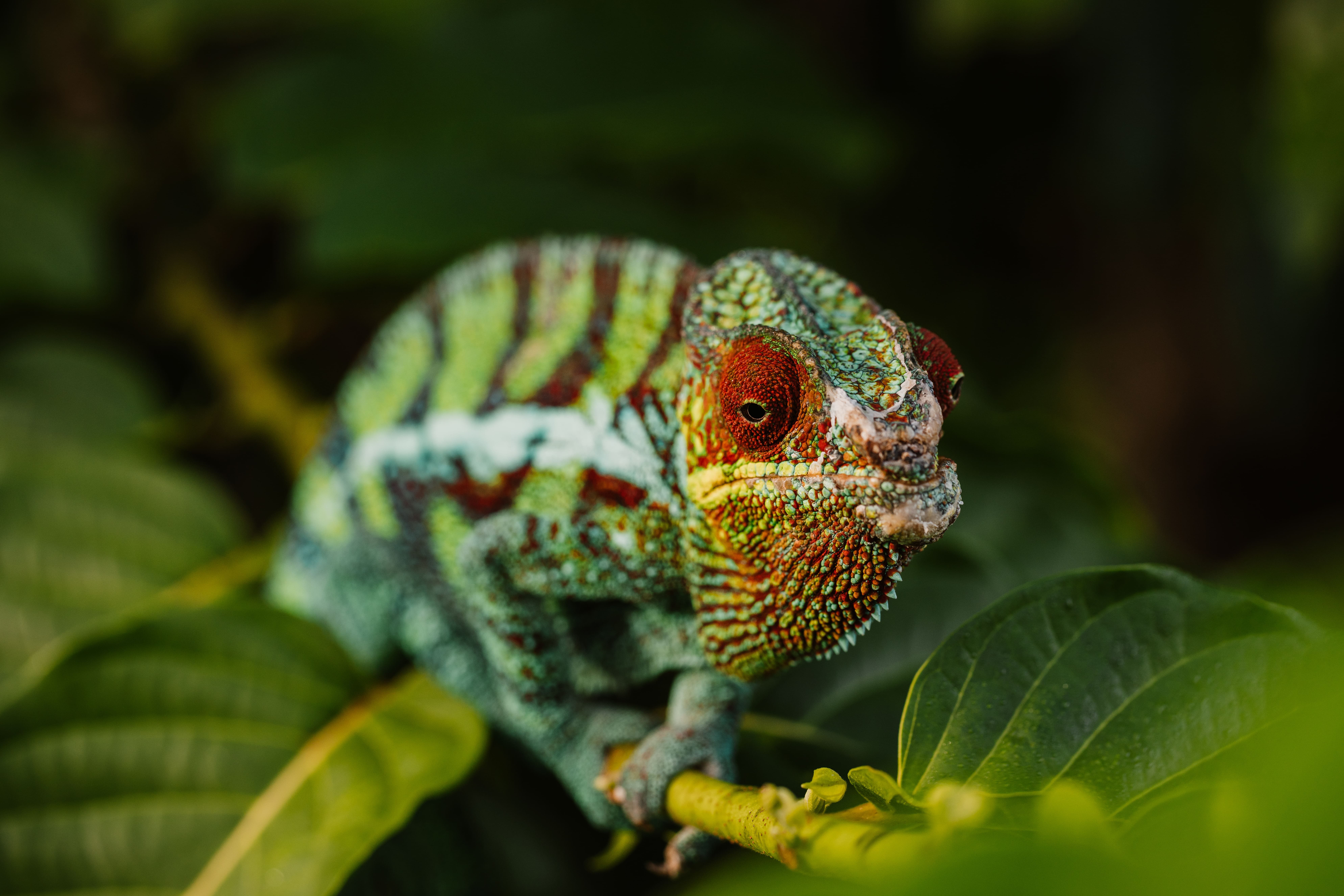 Entreprise Traore Tenin Production Transformation et Exportation des produits locaux (ETT PRO) SARL