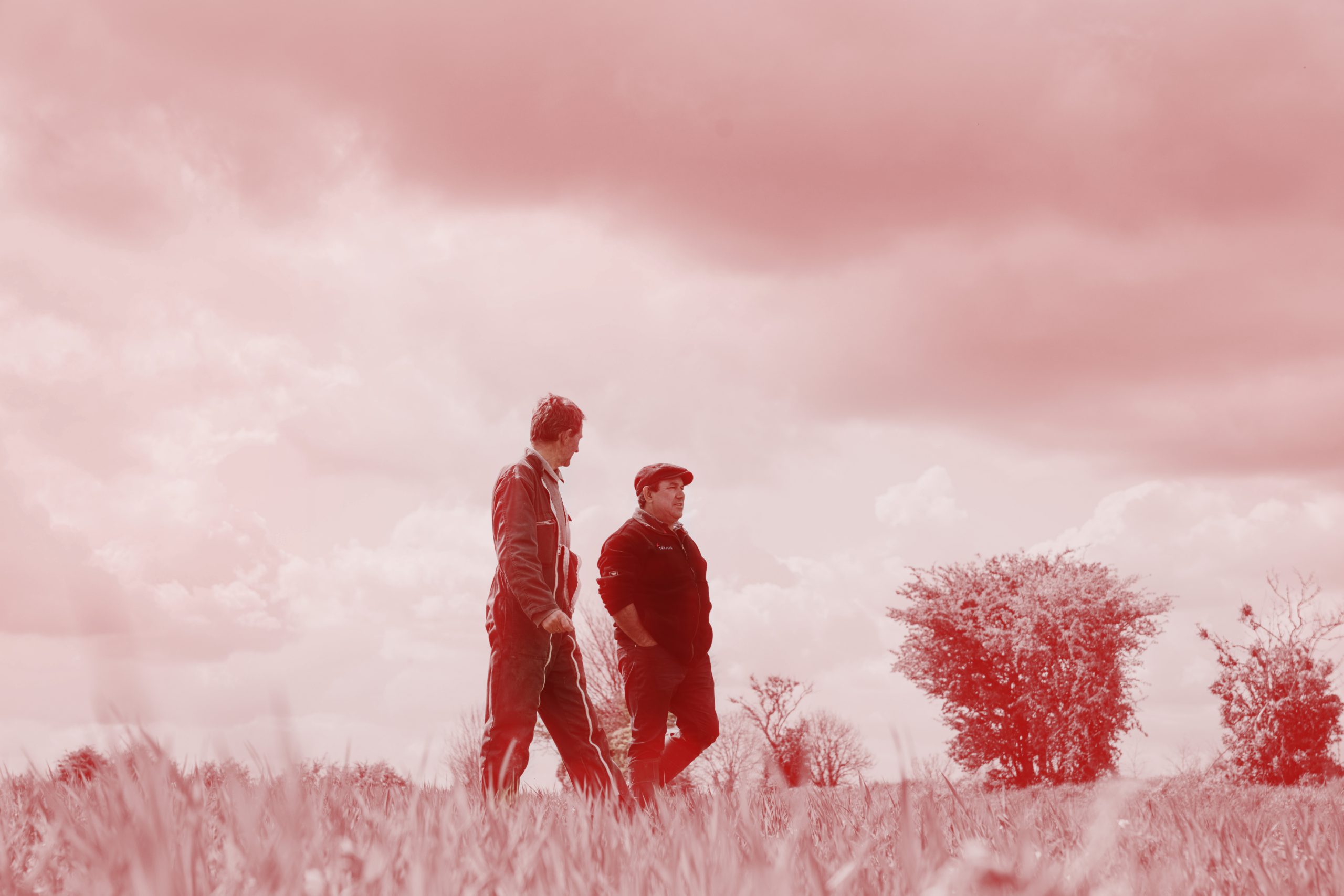 Label-commerce-equitable