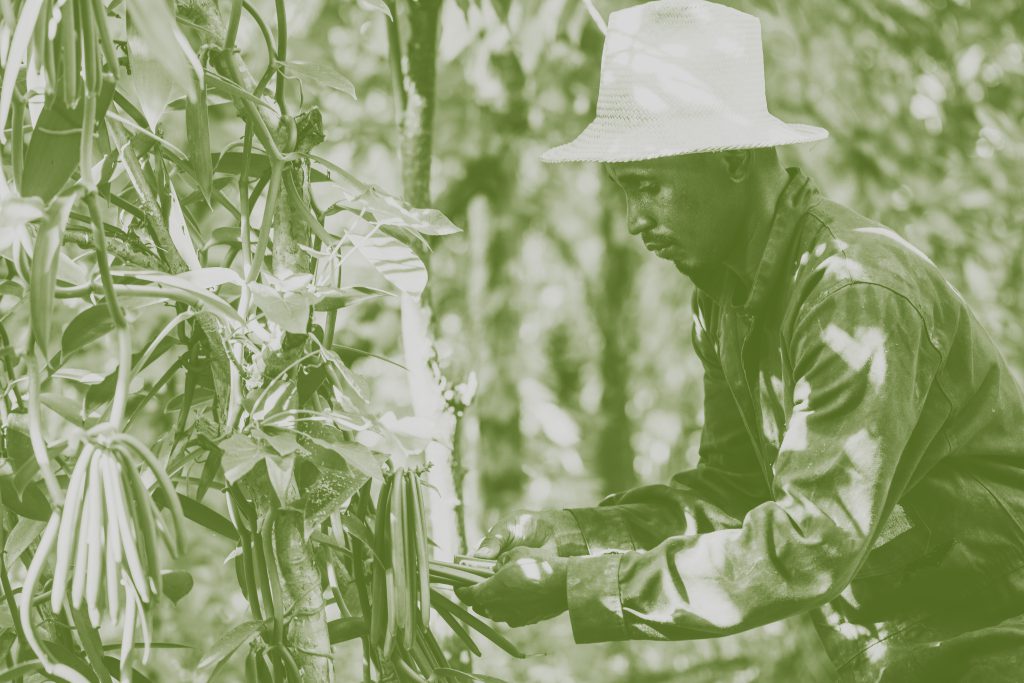 Welcome on our new Fair for Life website !