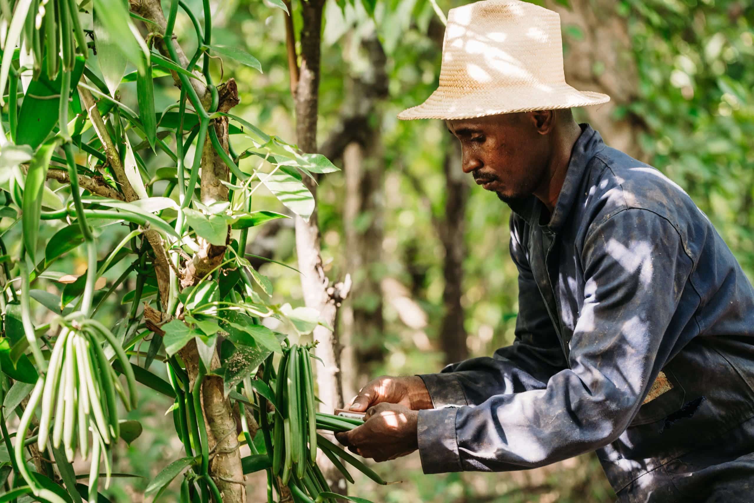 agriculture-fair-for-life